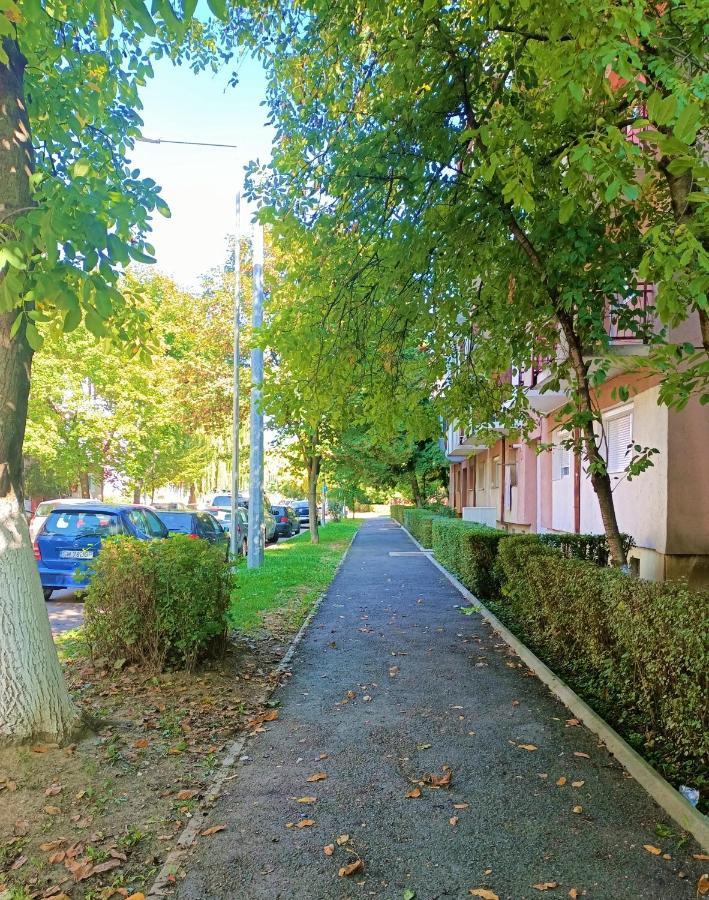 Caserom Studio Satu Mare Eksteriør bilde